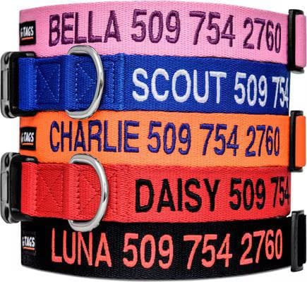 GoTags Nylon Personalized Dog Collar, Pink, Medium: 14 to 20-in neck, 3/4-in wide