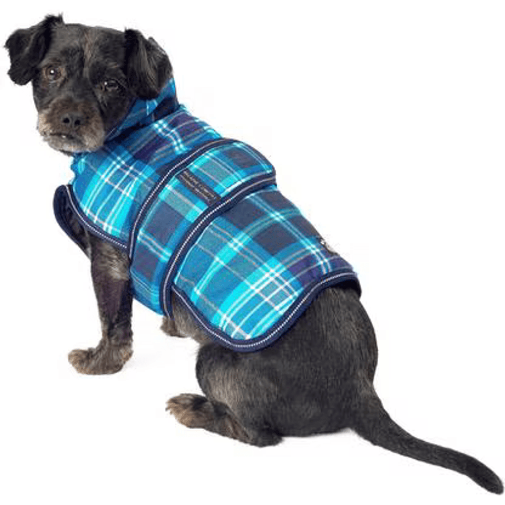 PetRageous Kodiak insulated dog coat in teal plaid worn by a small dog
