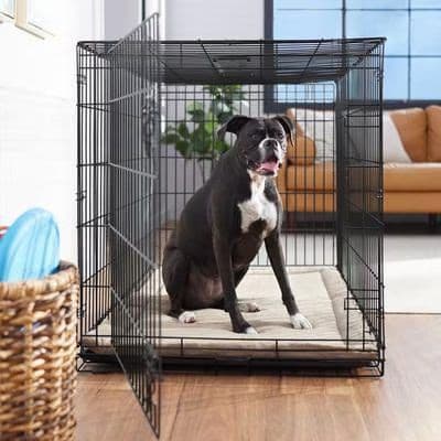Frisco Heavy Duty Fold and Carry Single Door Collapsible Wire Dog Crate, X-Large size