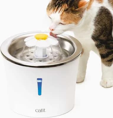 Catit Flower cat water fountain with a stainless steel top