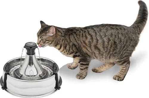 PetSafe Drinkwell 360 stainless steel multi-pet water fountain