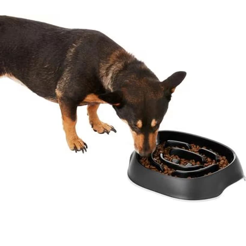Frisco non-skid stainless steel slow feeder dog bowl