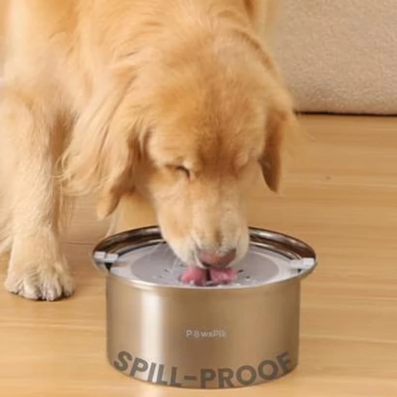 PawsPik spill-proof stainless steel dog bowl with splash mat