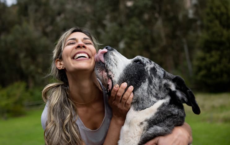 why does my dog lick my ears? Happy woman playing with her dog outdoors
