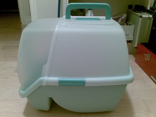 Fumes are intensified in a covered litter box. By: Andrew Currie
