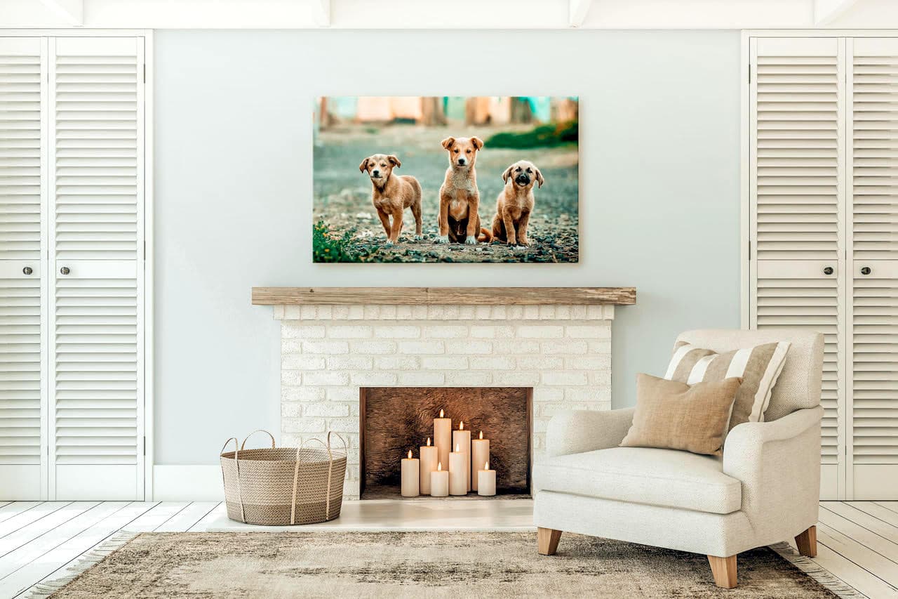 How CanvasHQ Is Helping Pet Parents Preserve Special Moments