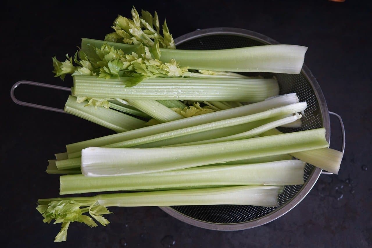 can dogs eat celery