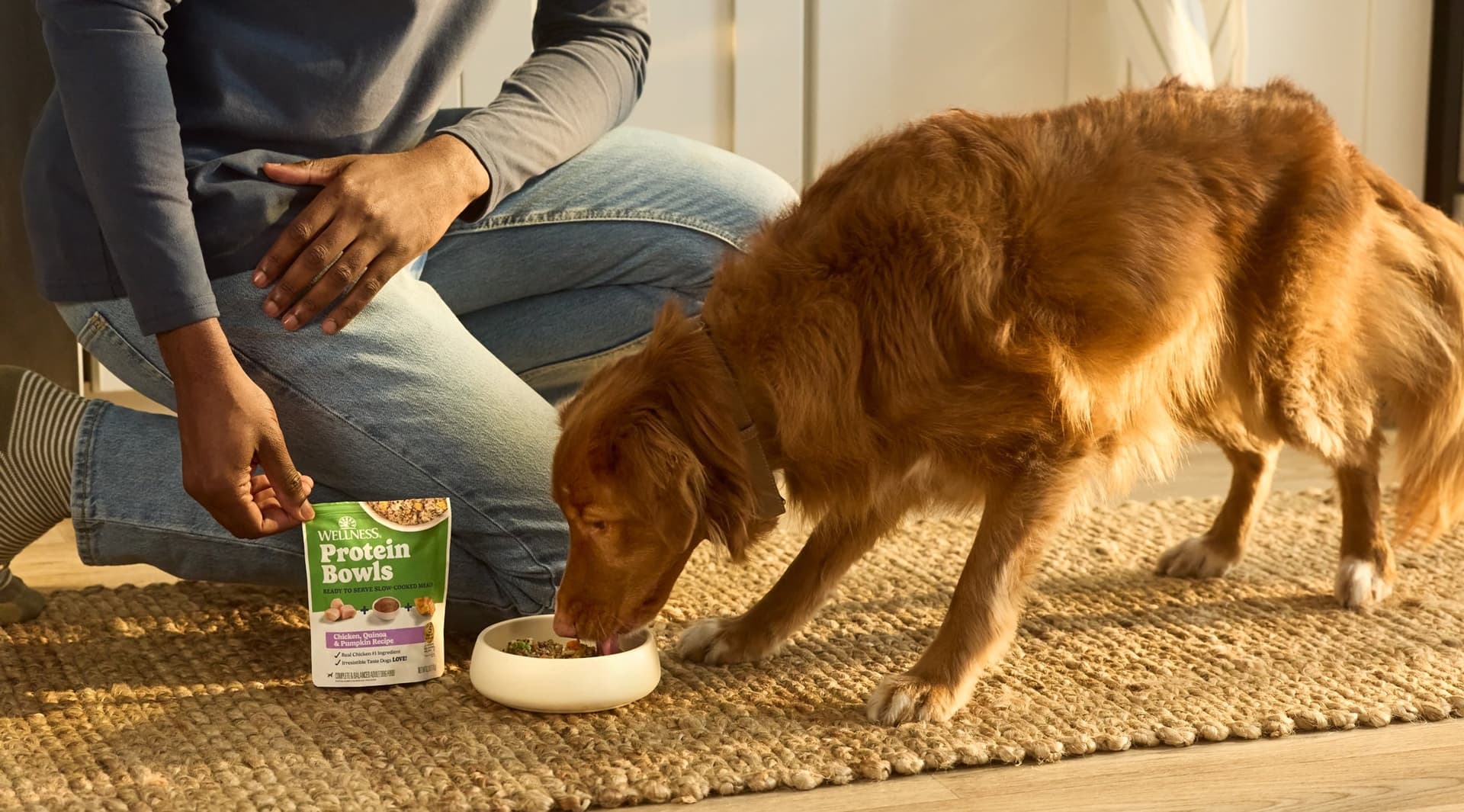 A dog eating Wellness Protein Bowls from a stainless steel bowl at home.