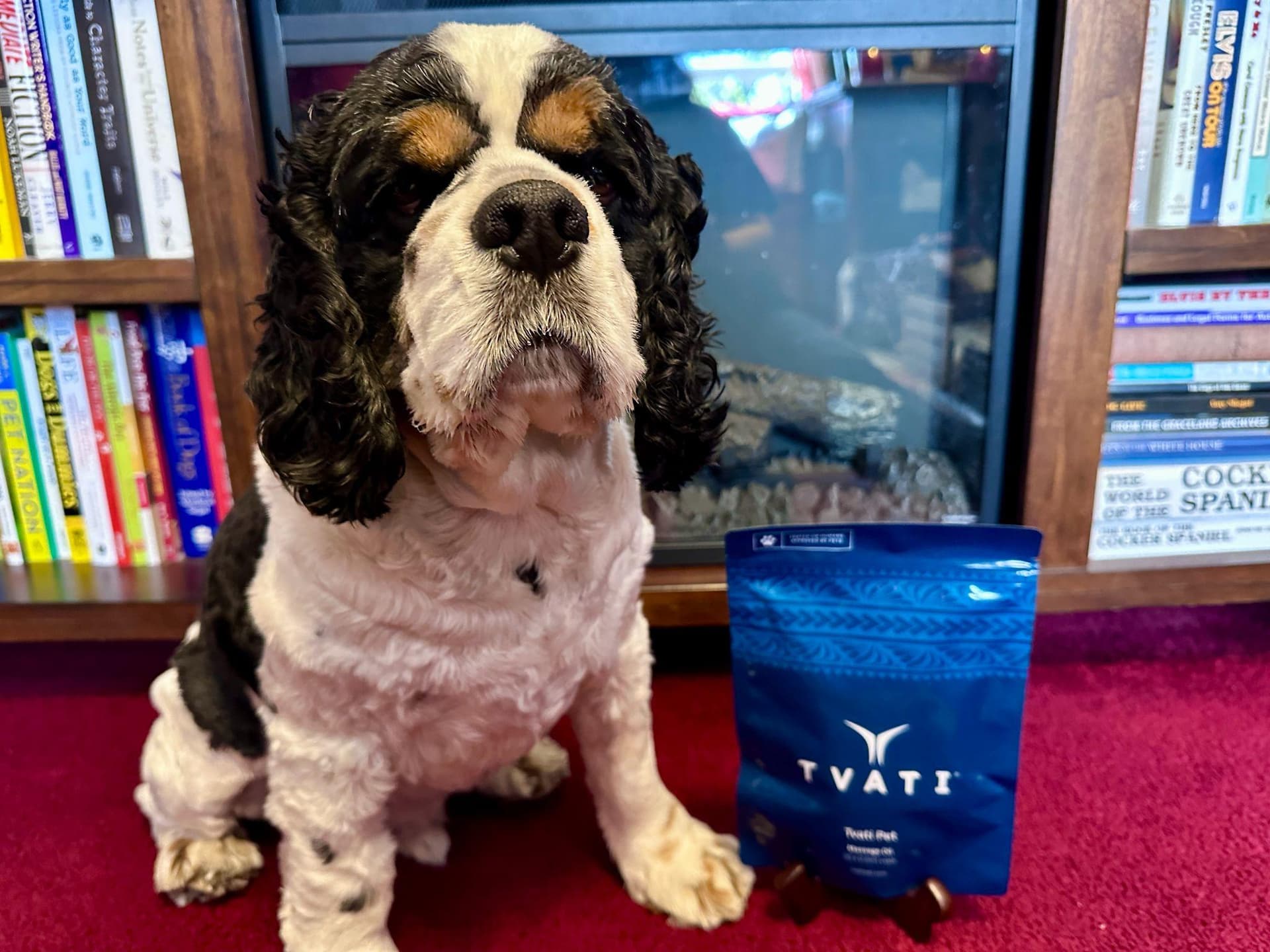Cocker Spaniel Sir Alvin with Tvati Pet Daily Mobility Formula pouch
