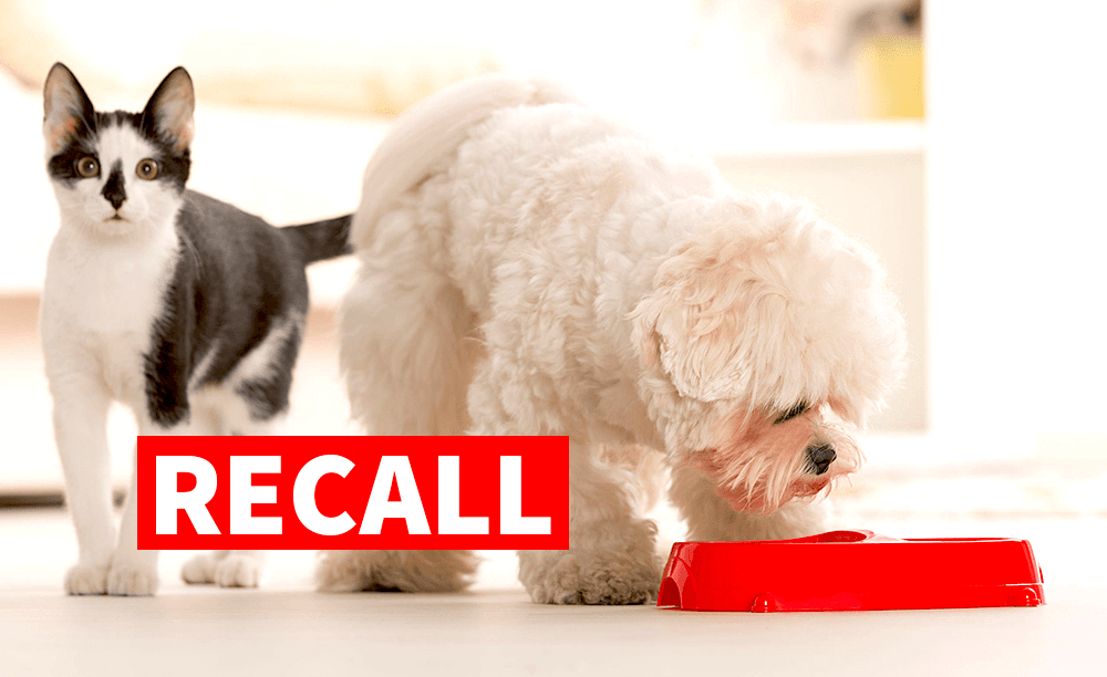 Recalled: Purina Pro Plan Complete Essentials Tuna Entrée in Sauce Wet Cat Food